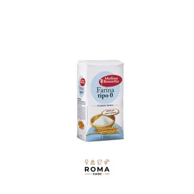 FARINA G.T. ''0'' KG 1