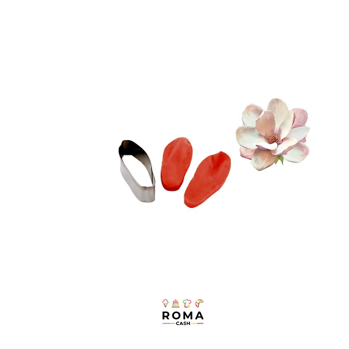 KIT MAGNOLIA CON VENATORE