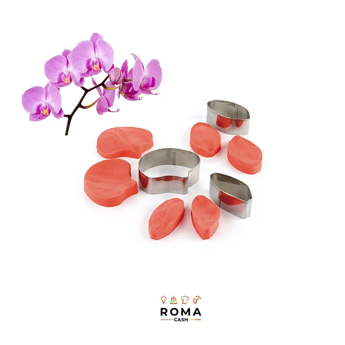 KIT ORCHIDEA CON VENATORE