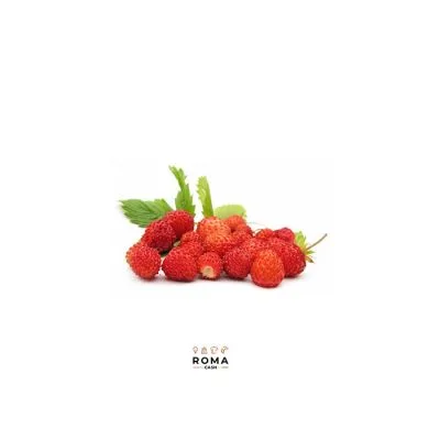 FRAGOLINE DI BOSCO SURGELATE 300 G