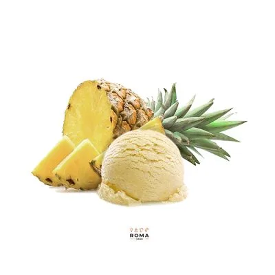 IRCA PASTA ANANAS KG 1,2