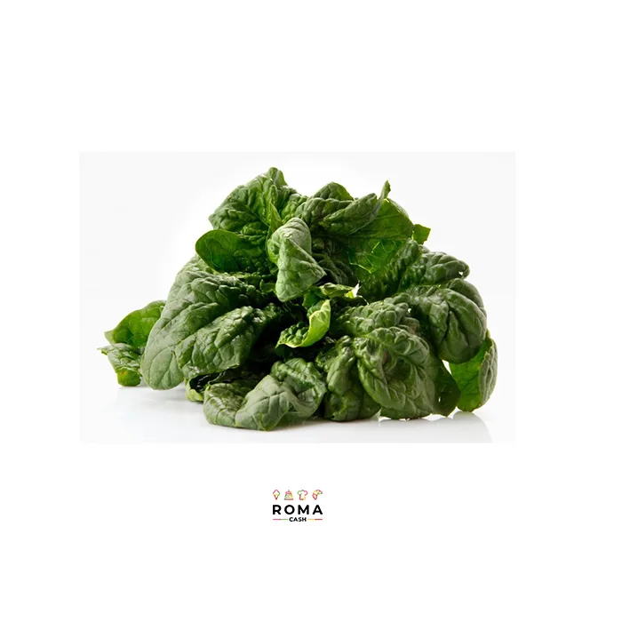 SPINACI A CUBI SURGELATI KG 2,5