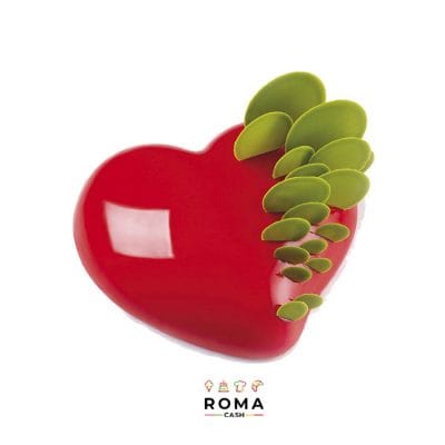 TORTIERA PAVONCAKE PASSION