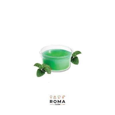 IRCA PASTA PER GRANITA ALLA MENTA KG 1,2
